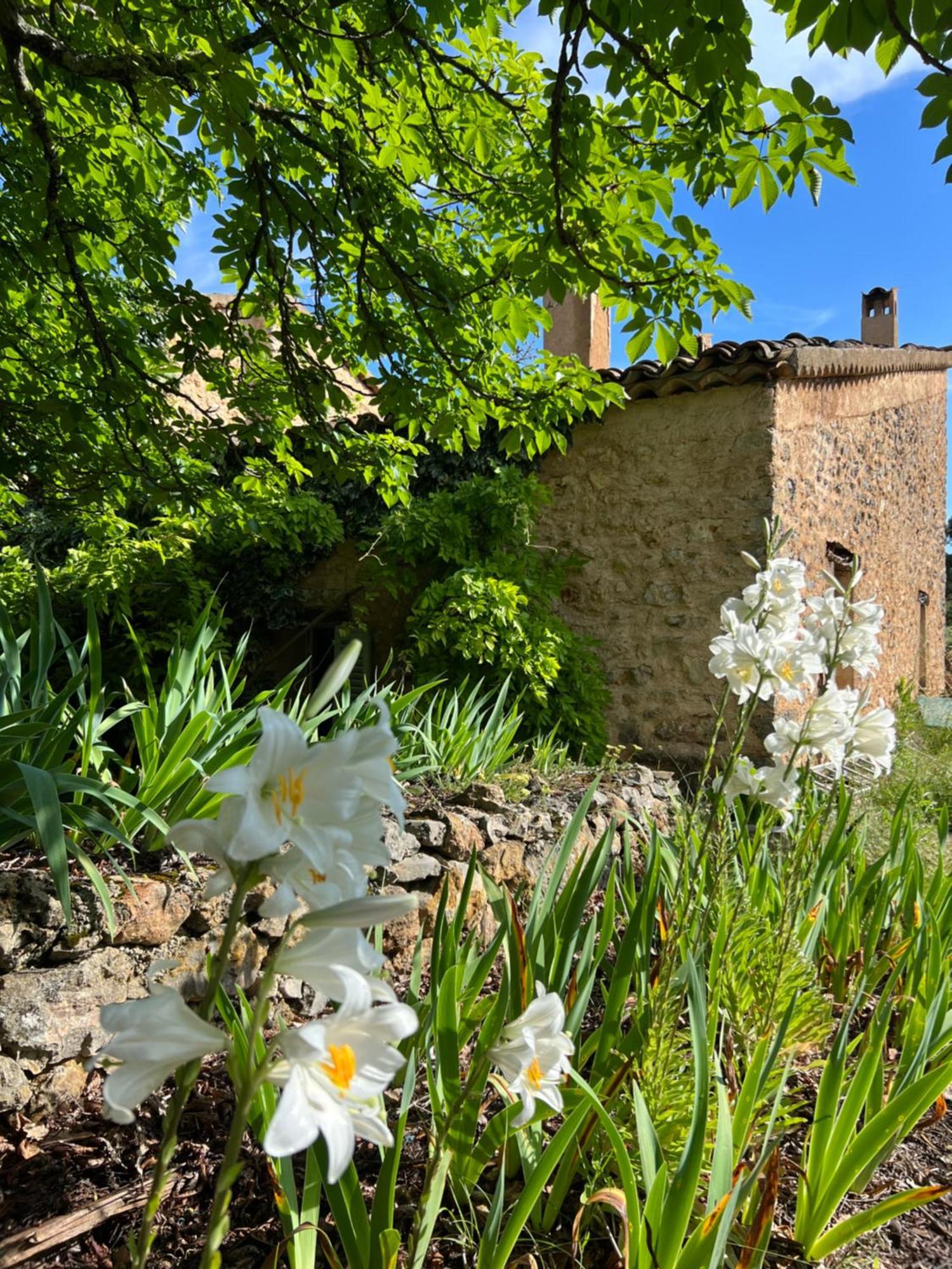 Charmant Appartement Independant Au Sein D'Un Mas Provencal Опс Екстериор снимка