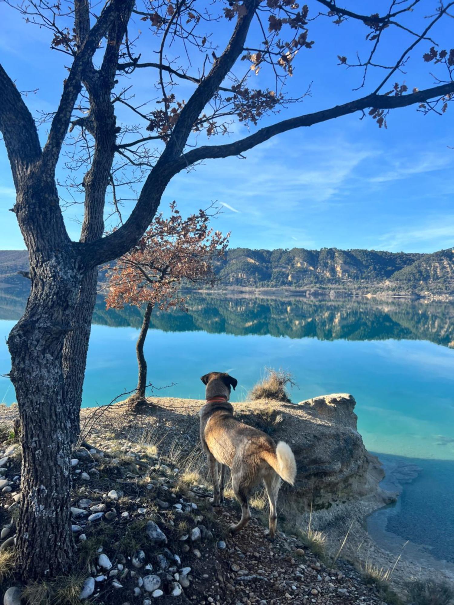 Charmant Appartement Independant Au Sein D'Un Mas Provencal Опс Екстериор снимка